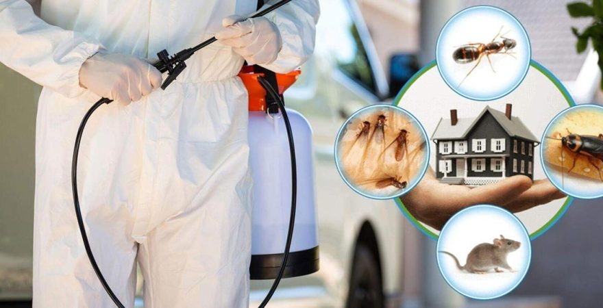 Kemer Böcek İlaçlama