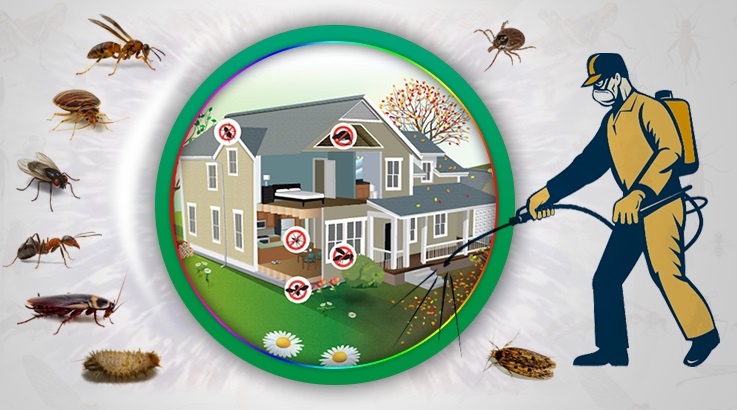 Kemer Böcek İlaçlama