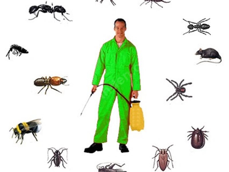 Kemer Böcek İlaçlama